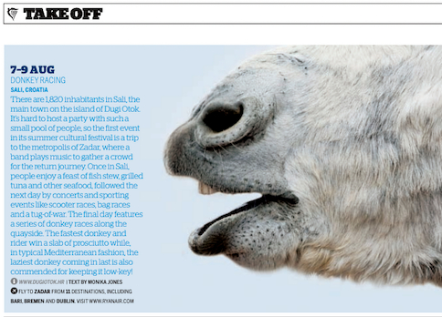 Screengrab of product description in magazine about a donkey racing event. To the right of the descriptive text is profile of donkey with white hair and open mouth. 